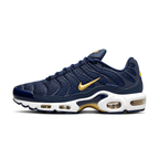 Nike Air Max Plus (French Football Federation)