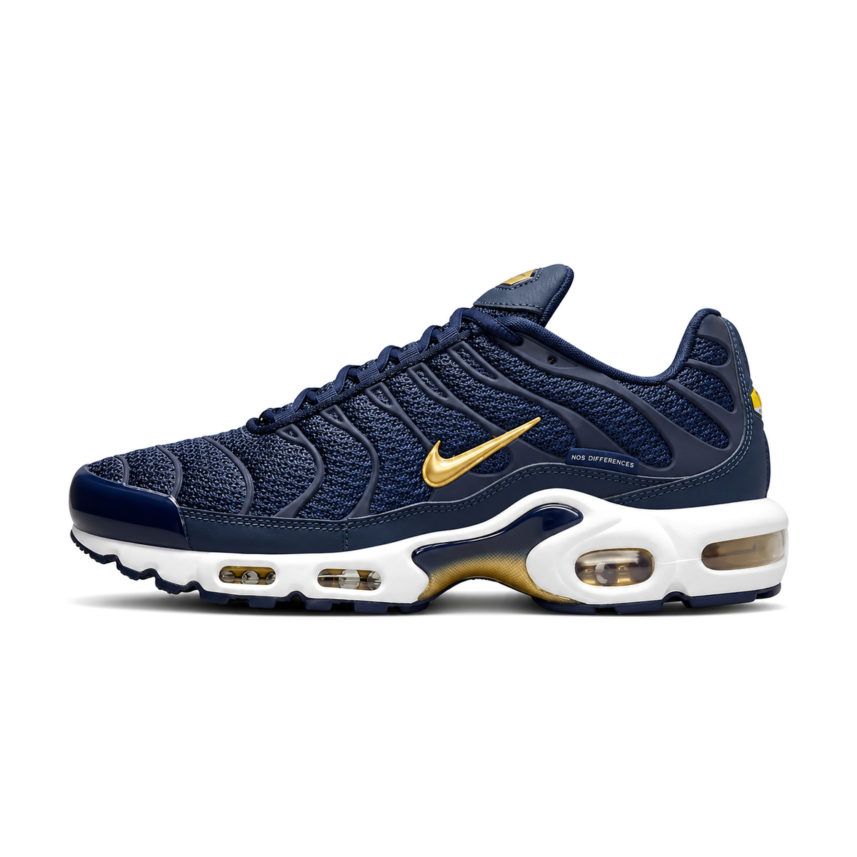 Nike Air Max Plus (French Football Federation)