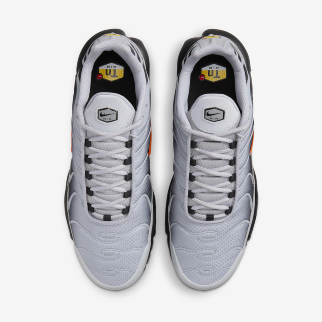 Nike Air Max TN  (Wolf Grey)