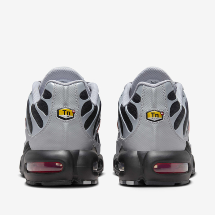 Nike Air Max TN  (Wolf Grey)
