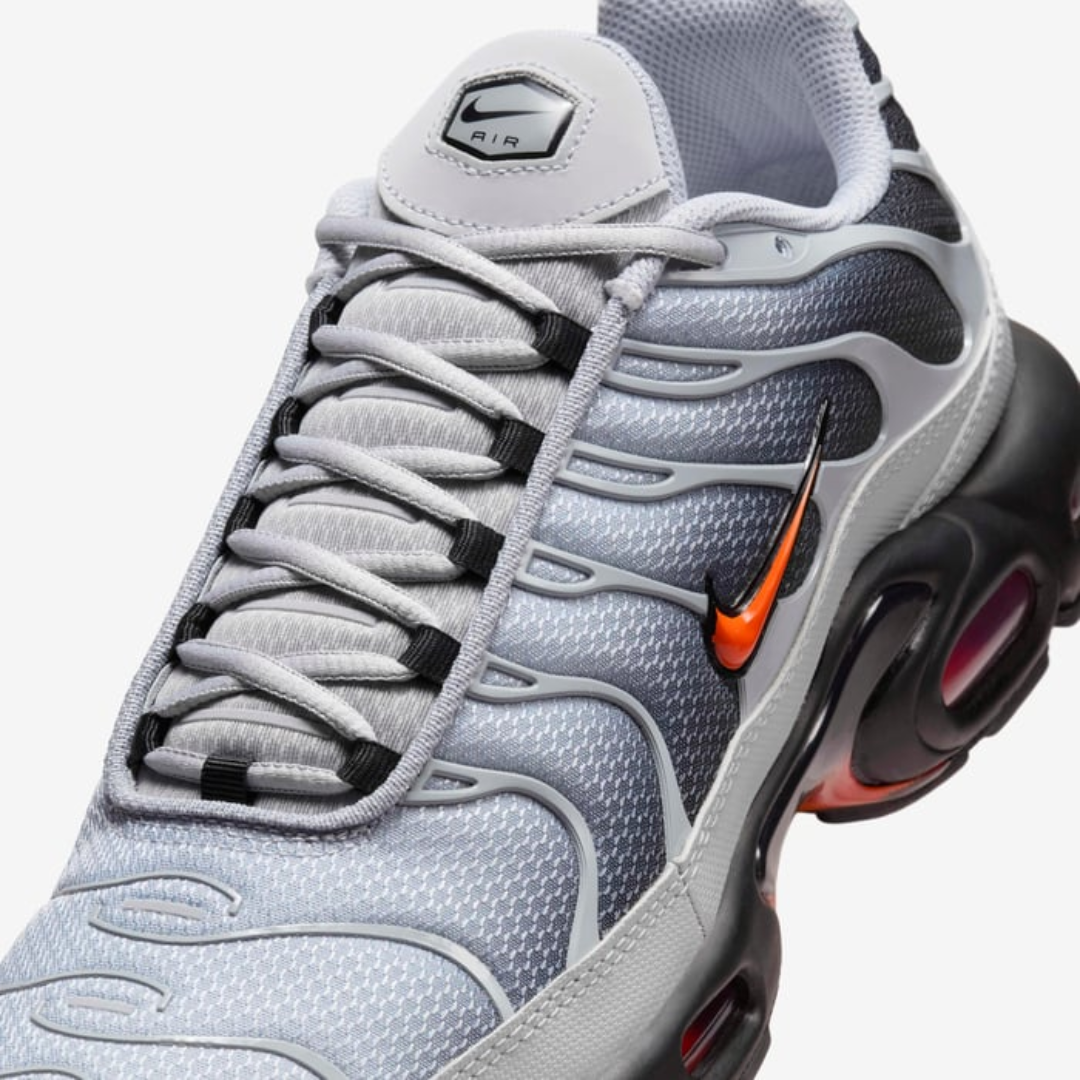 Nike Air Max TN  (Wolf Grey)