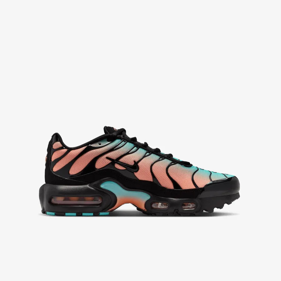 Nike Air Max TN "Pink Blue"