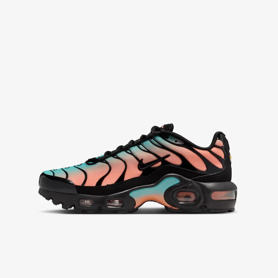 Nike Air Max TN "Pink Blue"