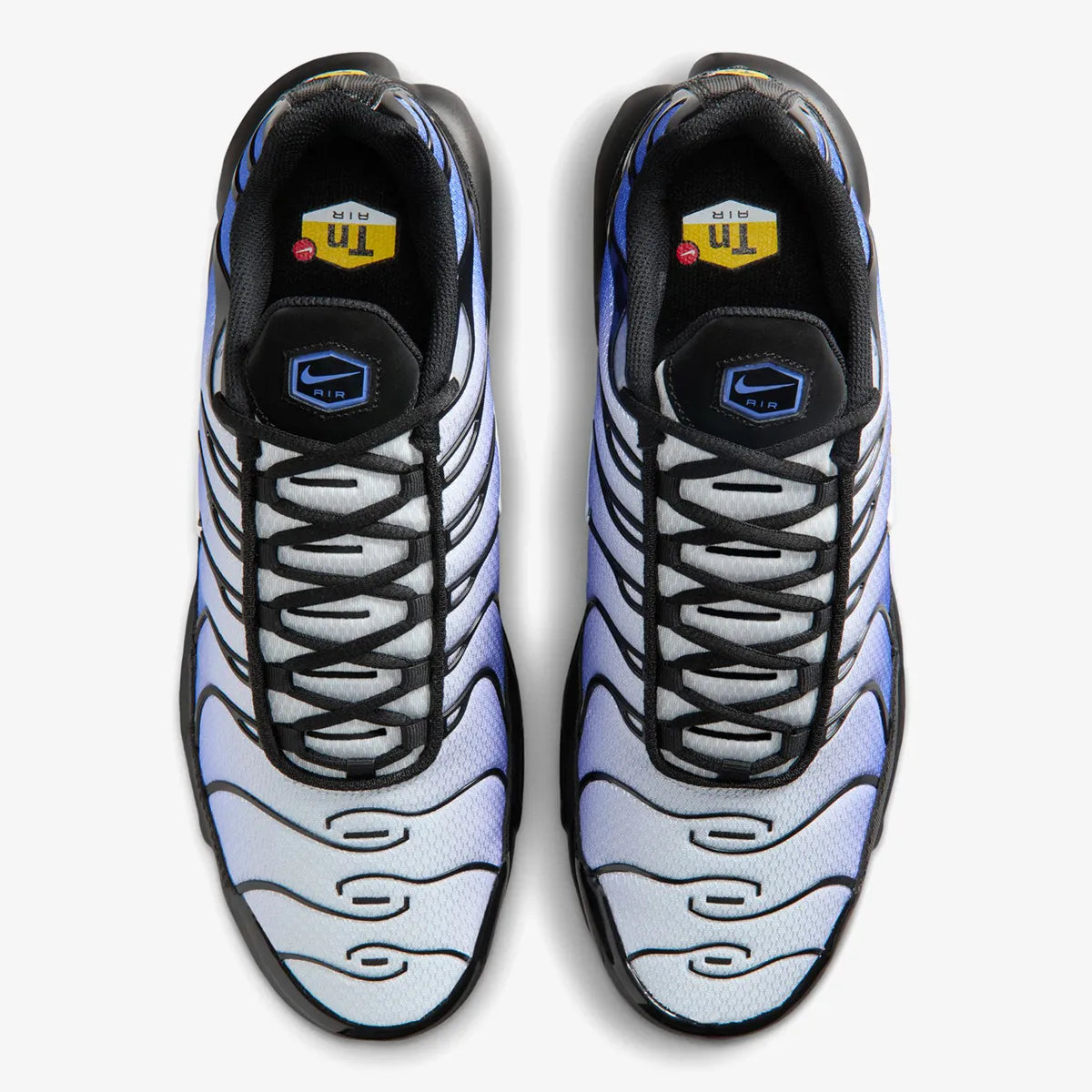 Nike Air Max Plus (Black Sapphire)