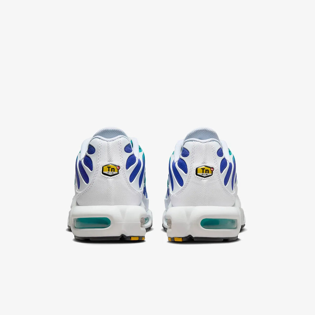Nike Air Max Plus (Aqua)