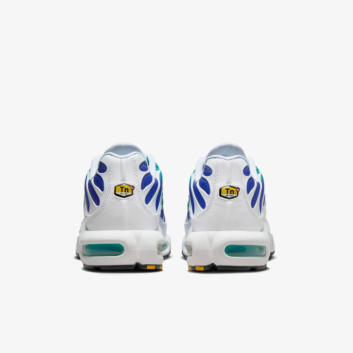 Nike Air Max Plus (Aqua)