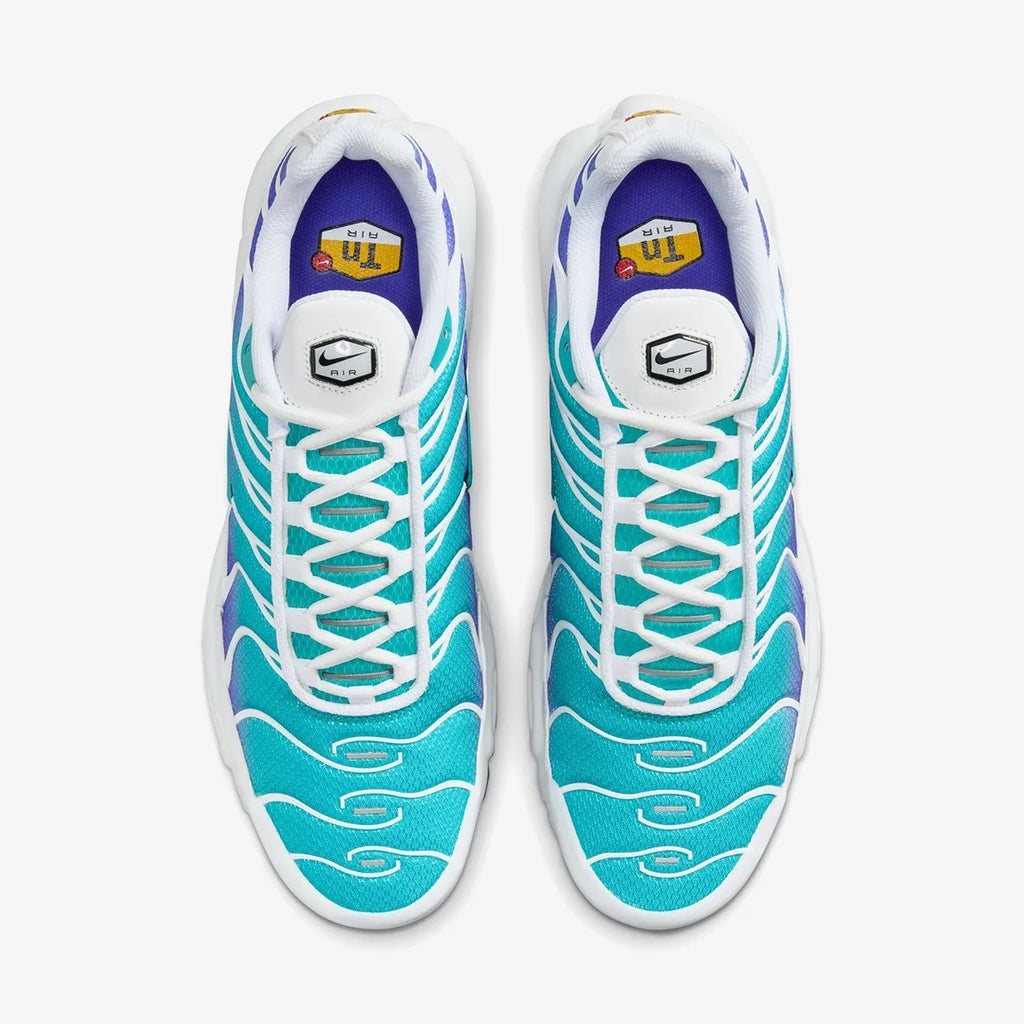 Nike Air Max Plus (Aqua)