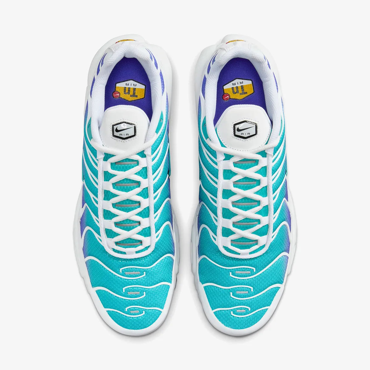 Nike Air Max Plus (Aqua)