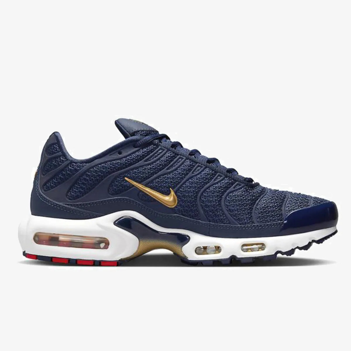 Nike Air Max Plus (French Football Federation)