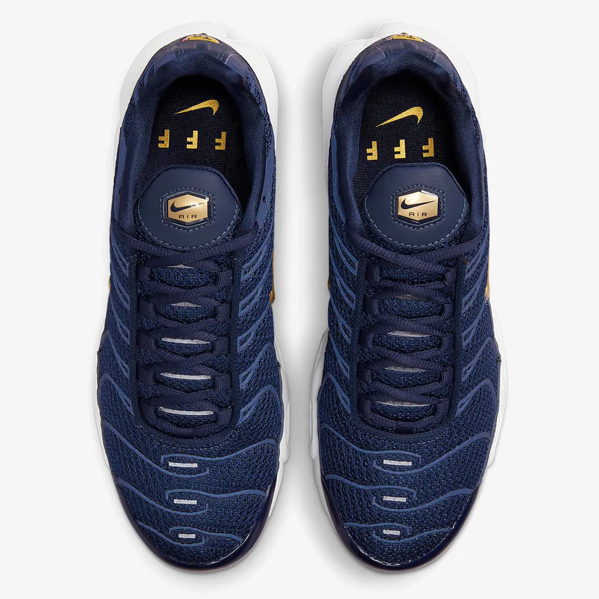 Nike Air Max Plus (French Football Federation)