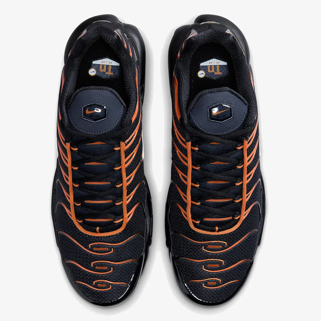 Nike Air Max TN (Dark Obsidian Monarch)